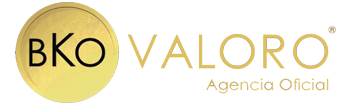 LOGO WEB VALORO