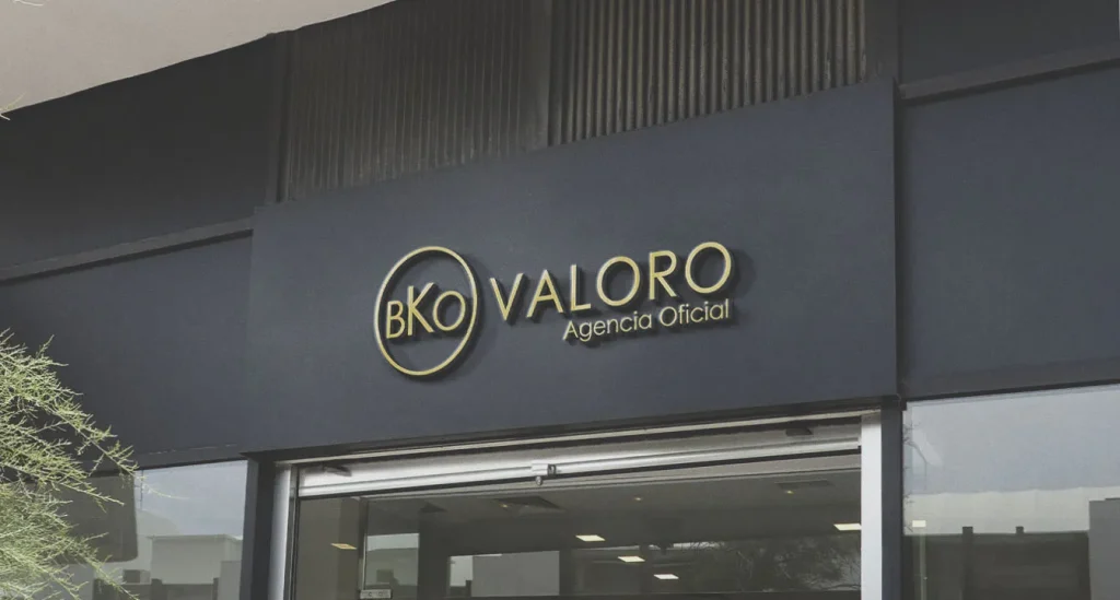 LOGO VALORO EXTERIOR