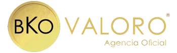 LOGO WEB VALORO