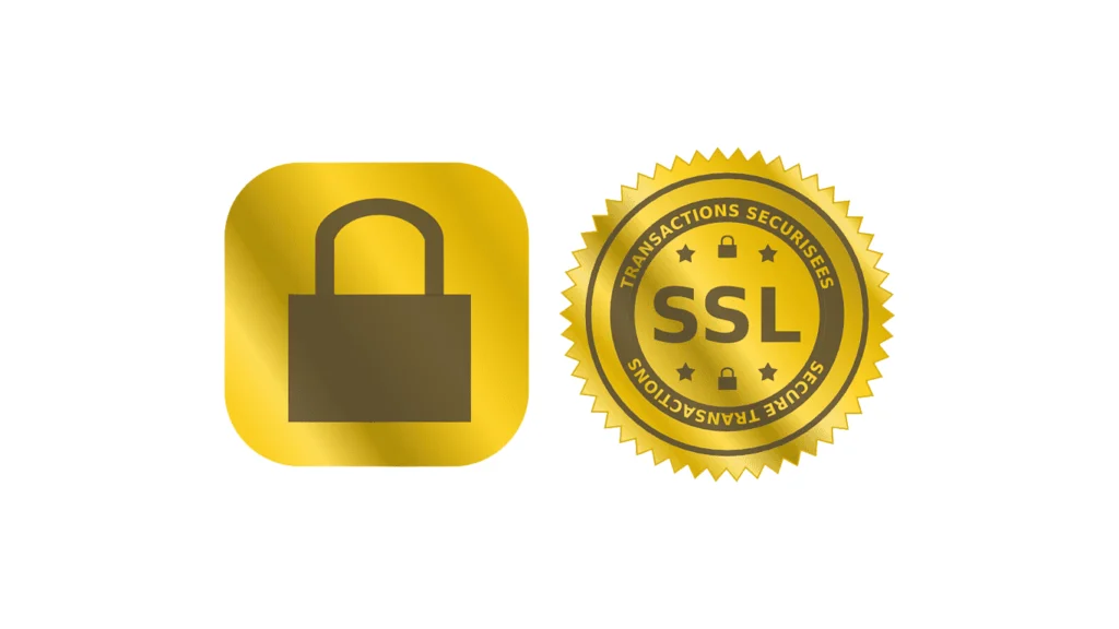 SSL SEG